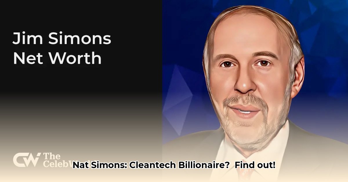 nat-simons-net-worth